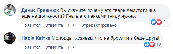 Украинцев до слез растрогало фото харьковского "трио с собакой"