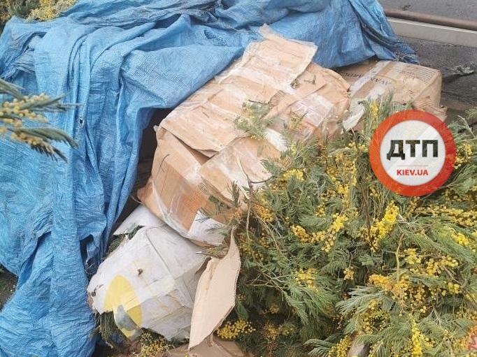 facebook/dtp.kiev.ua dqxikeidqxidqrant