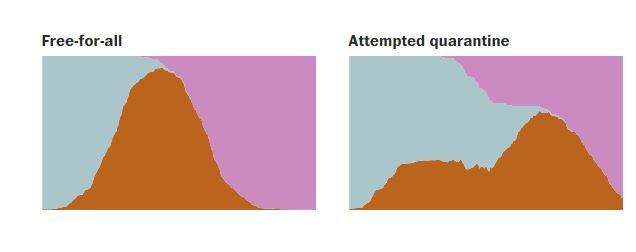 Какие меры против коронавируса эффективнее карантина. Инфографика dqxikeidqxidqeant