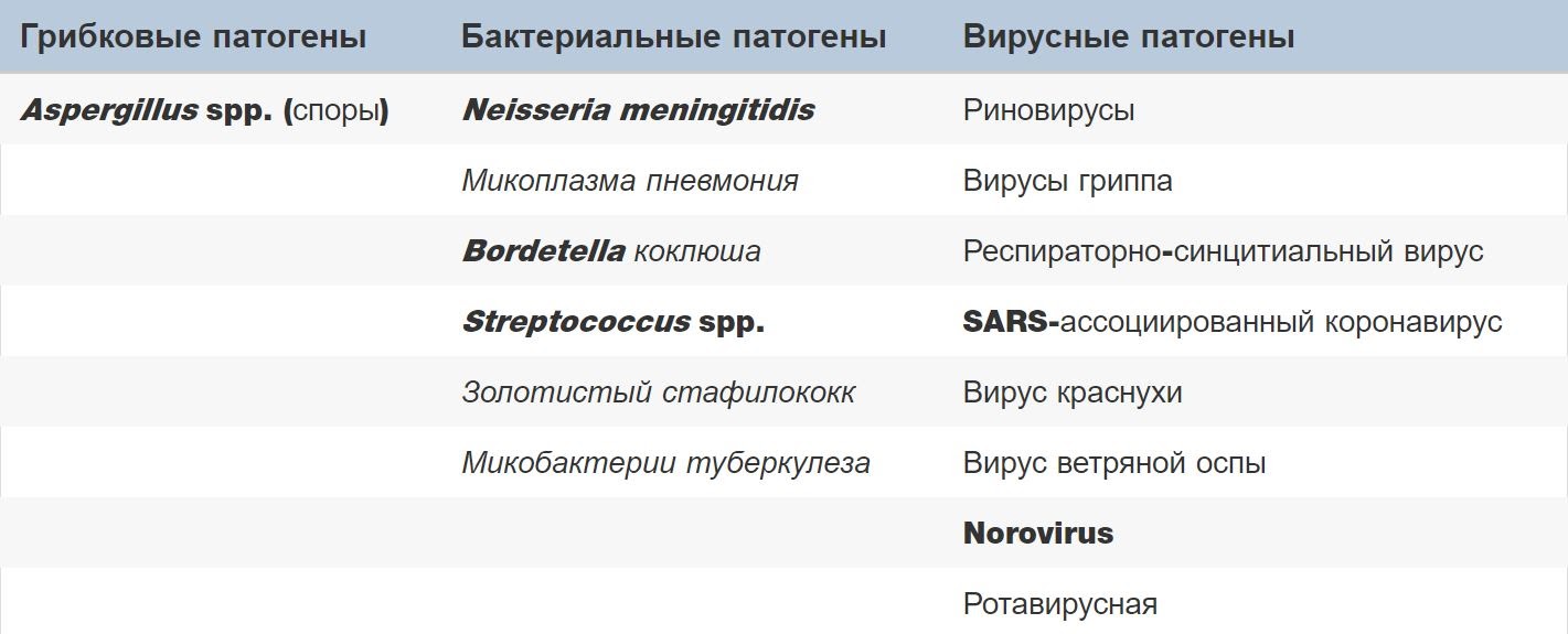 image dqxikeidqxidqrant