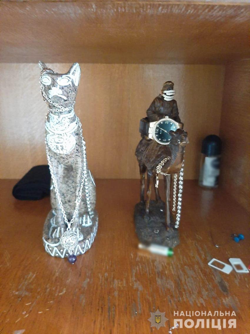 поліція, затримання, злодії, група, квартири, крадіжки