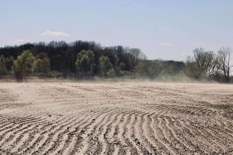  -     :    dqxikeidqxiuuant