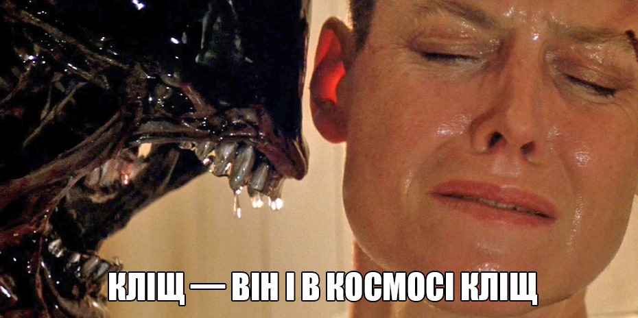 В Минздраве рассказали об опасности клещей. Фото: Facebook / ЦОЗ dqxikeidqxidqeant