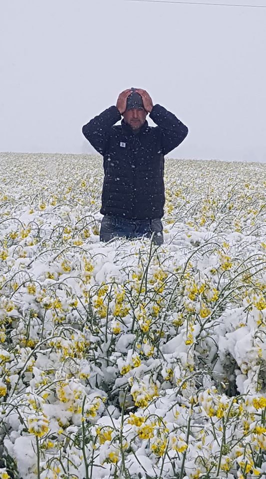 168.jpg 168.jpg dqxikeidqxiqzuant