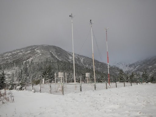     ""   dqxikeidqxidqeant