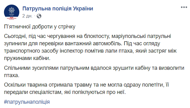 патрульные полицейские спасли птицу dqxikeidqxidqrant