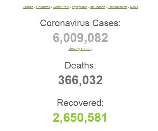 Количество заболевших COVID-19 в мире превысило 6 миллионов человек dqxikeidqxidqrant