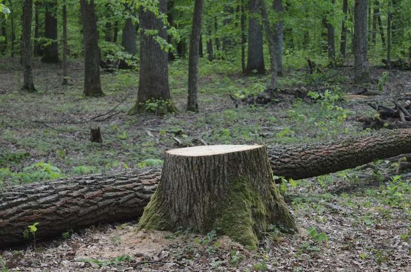  ̆.JPG dqxikeidqxiuuant