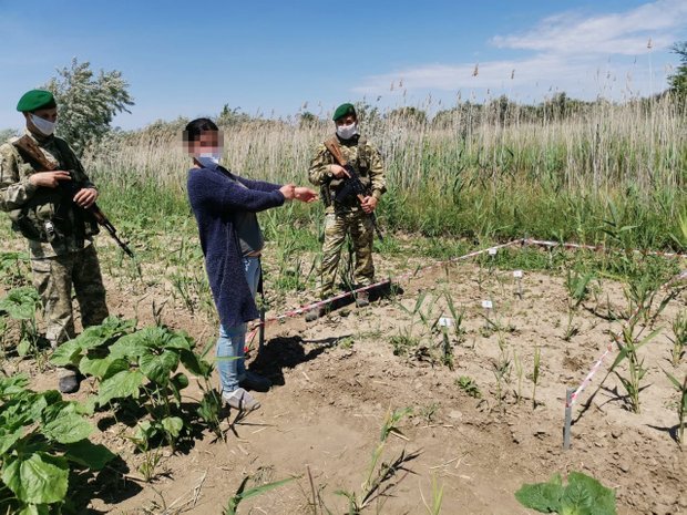 ,   dqxikeidqxidqrant