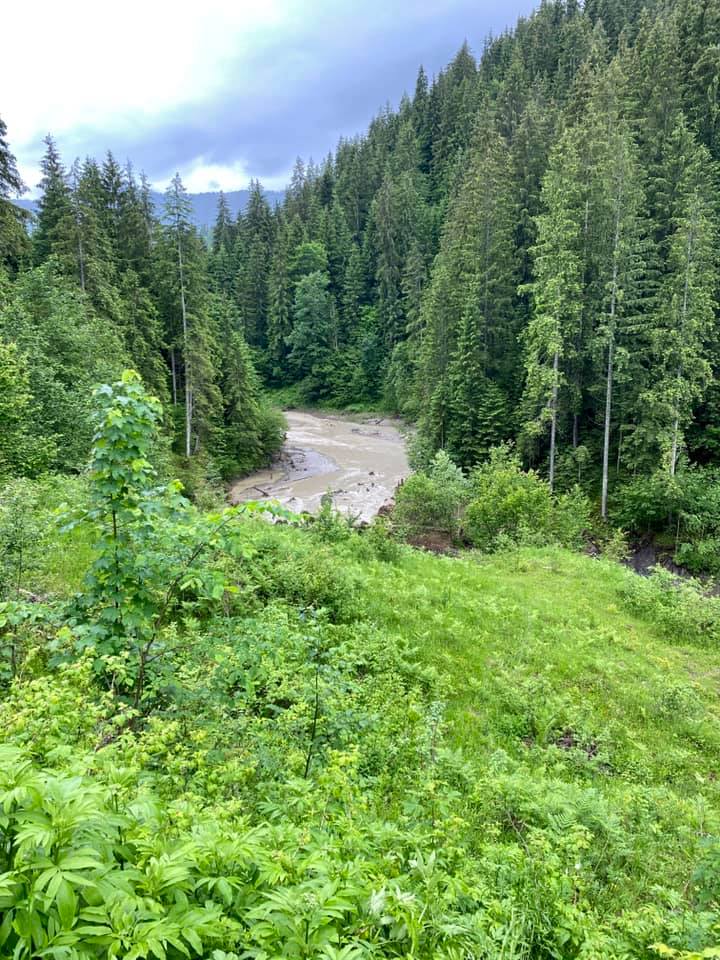 Место, где было озеро