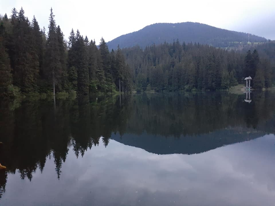 ""   dqxikeidqxidqeant