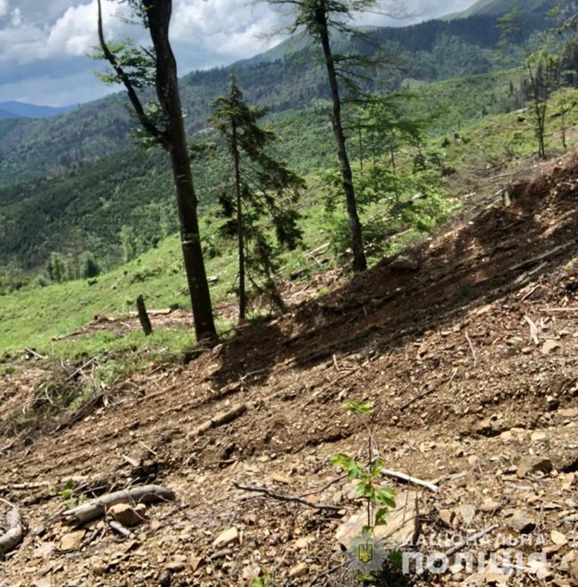 ÐÐ²Ð¾Ñ Ð»ÑÑникÑв дозволили виÑÑбаÑи на ÐакаÑпаÑÑÑ 400 бÑкÑв, ÑÐµÐ¿ÐµÑ Ñм загÑожÑÑ Ð²ÑзниÑÑ 01 dqxikeidqxidqeant