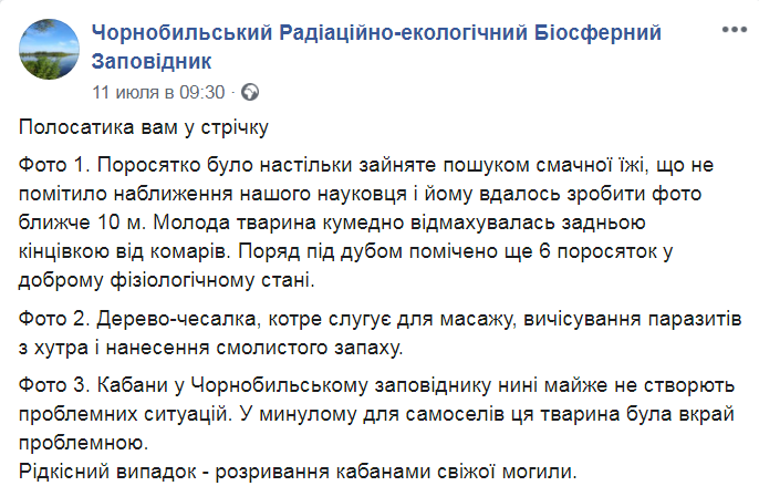 Скриншот из Facebook Чернобыльского заповедника