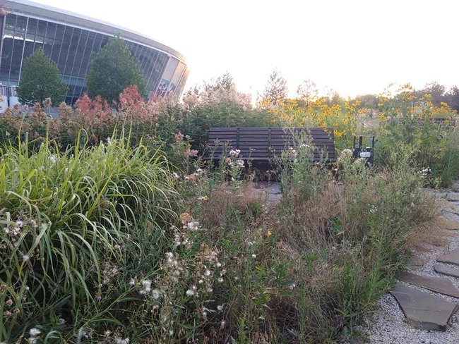  :         02 dqxikeidqxidqrant