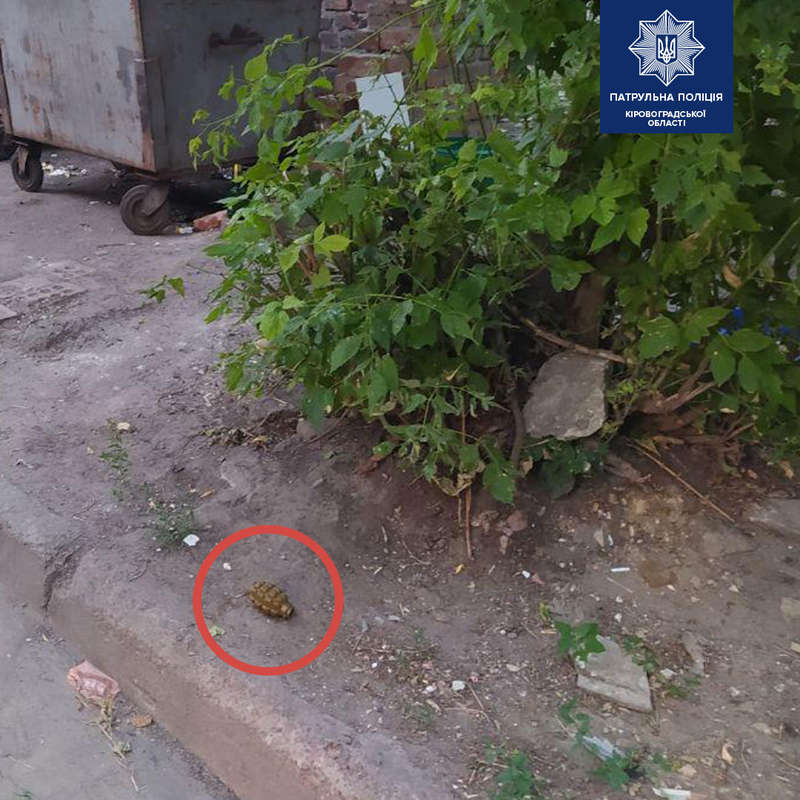 У детей в Кропивницком забрали гранату. Фото: Facebook / Нацполиция dqxikeidqxidqrant