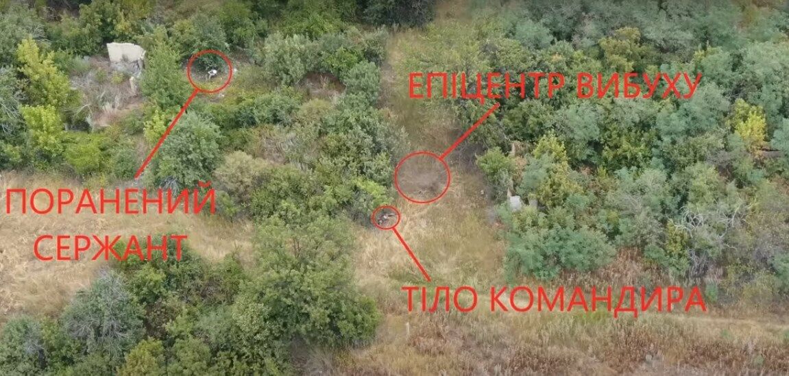   :    . dqxikeidqxidqeant