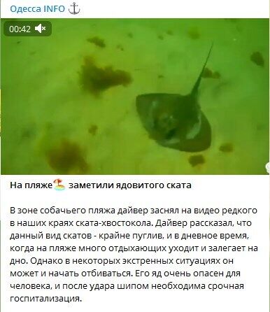       :   –   dqxikeidqxidqrant