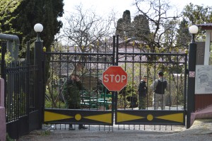 DSC_0239 dqxikeidqxidqrant