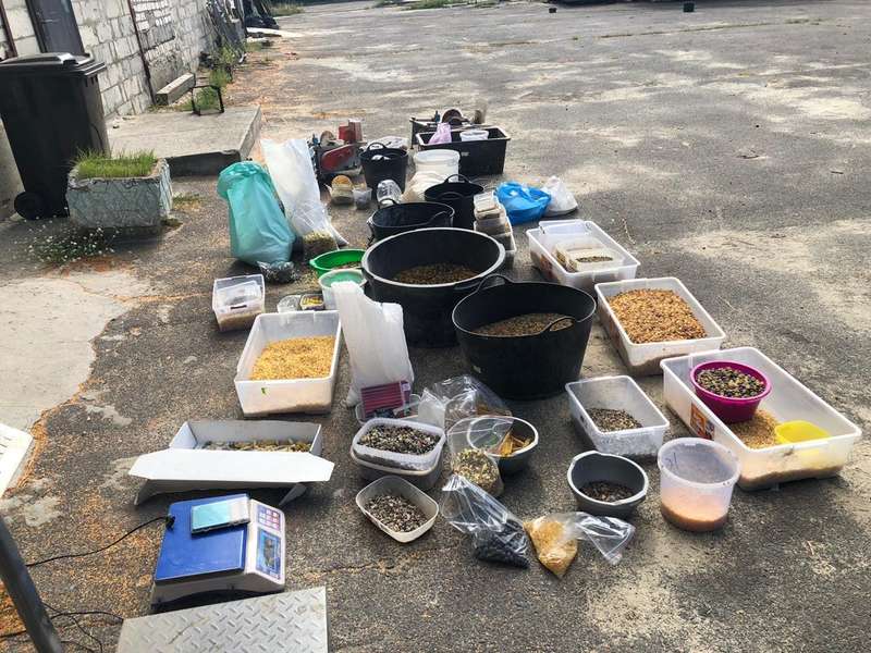 В Ровенской области во время обысков обнаружили янтаря на 2 млн грн dqxikeidqxidqeant