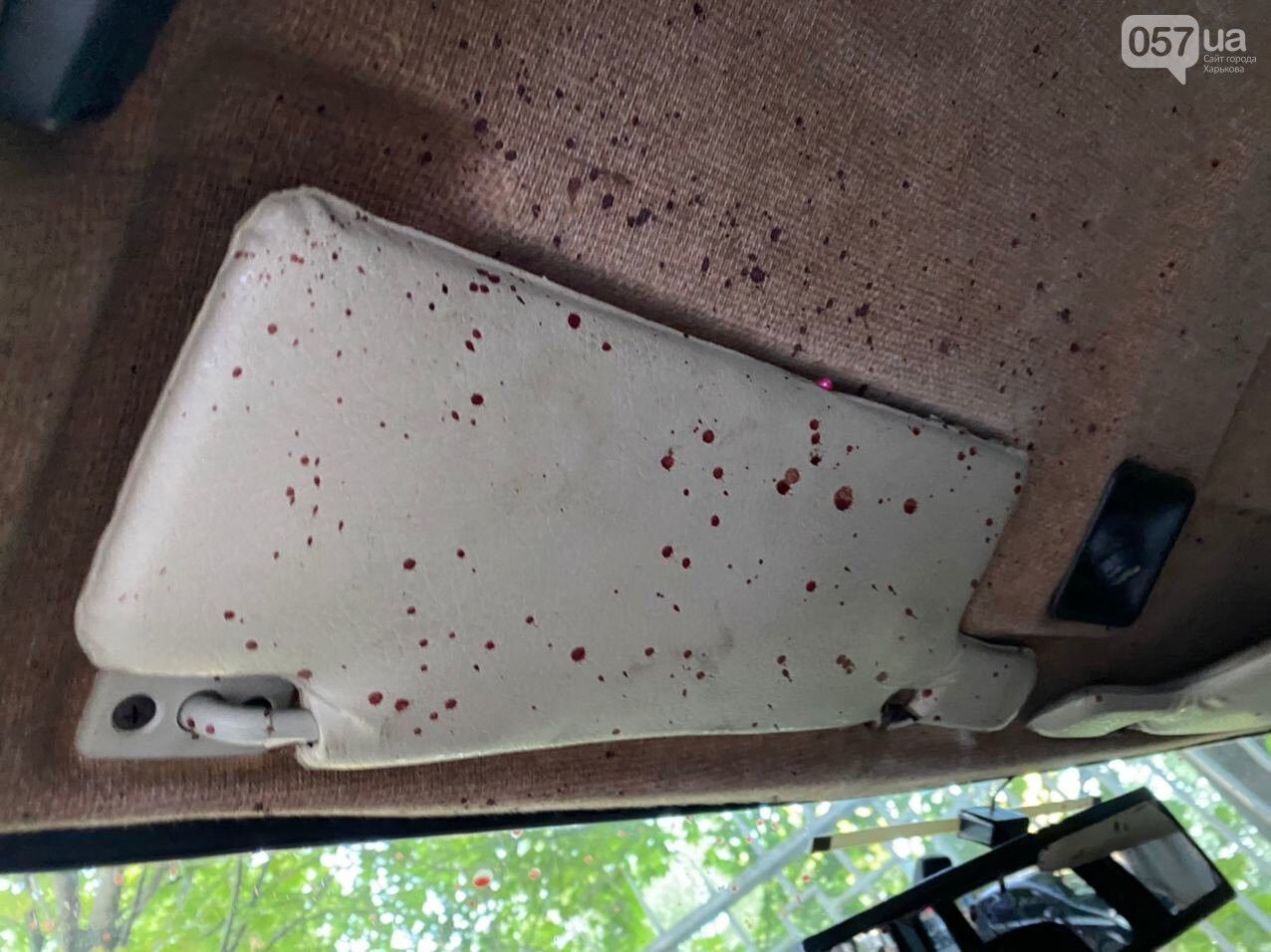  – 51- . dqxikeidqxiqhtant