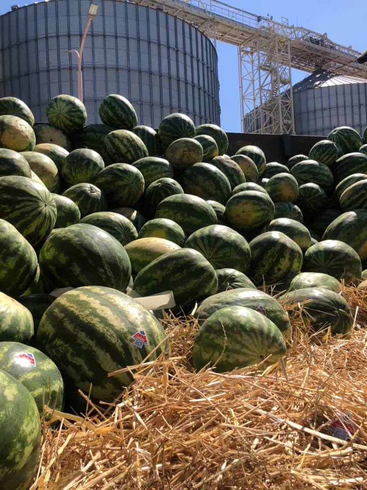 Баржа с арбузами dqxikeidqxidqrant