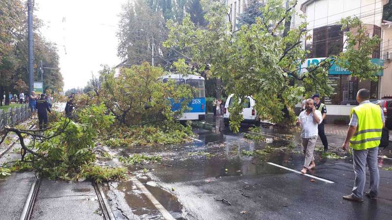 троллейбус dqxikeidqxidqrant