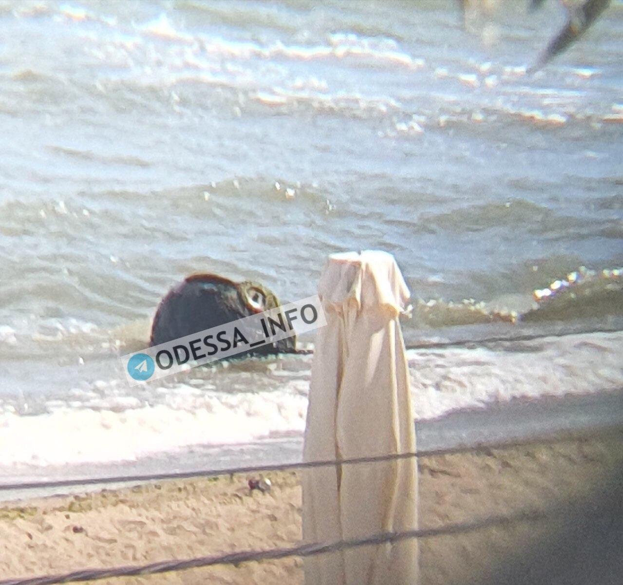 Водолазы достали мину из воды dqxikeidqxiqqdant