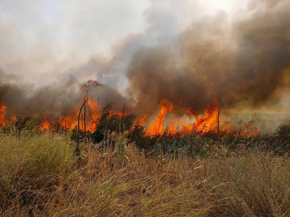 На Луганщині під час гасіння спровокованої окупантами пожежі постраждали двоє вояків dqxikeidqxidqrant