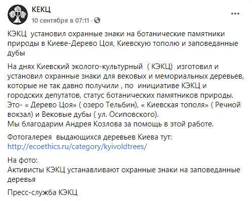 Дерево Цоя в Киеве взяли под охрану dqxikeidqxidqeant