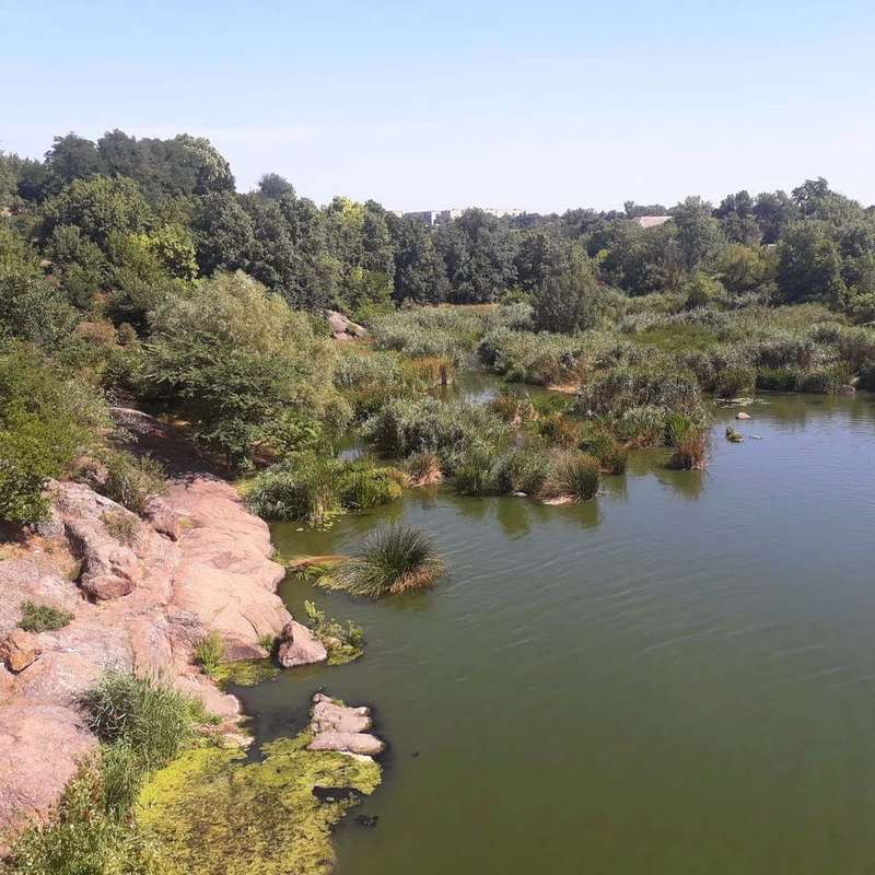 корсунь.jpg dqxikeidqxidqrant