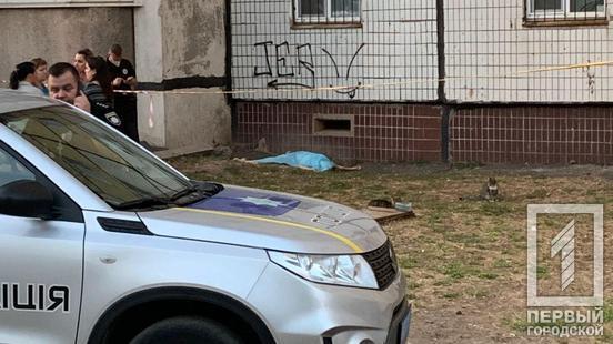 В Кривом Роге девочка выпала из окна многоэтажки. dqxikeidqxidqeant