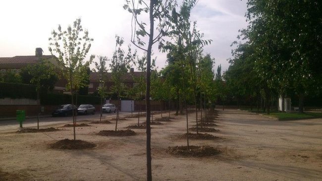 Ð’ Ñ–ÑÐ¿Ð°Ð½ÑÑŒÐºÐ¾Ð¼Ñƒ Ð¼Ñ–ÑÑ‚Ñ– ÐÐ»ÑŒÐºÐ°Ð»Ð°-Ð´Ðµ-Ð•Ð½Ð°Ñ€ÐµÑ Ð¾ÑÐºÐ²ÐµÑ€Ð½Ð¸Ð»Ð¸ Ð¼ÐµÐ¼Ð¾Ñ€Ñ–Ð°Ð» ÐÐµÐ±ÐµÑÐ½Ð¾Ñ— Ð¡Ð¾Ñ‚Ð½Ñ– 03 dqxikeidqxidqrant