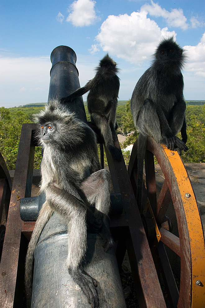 Image 12094 Image 12094