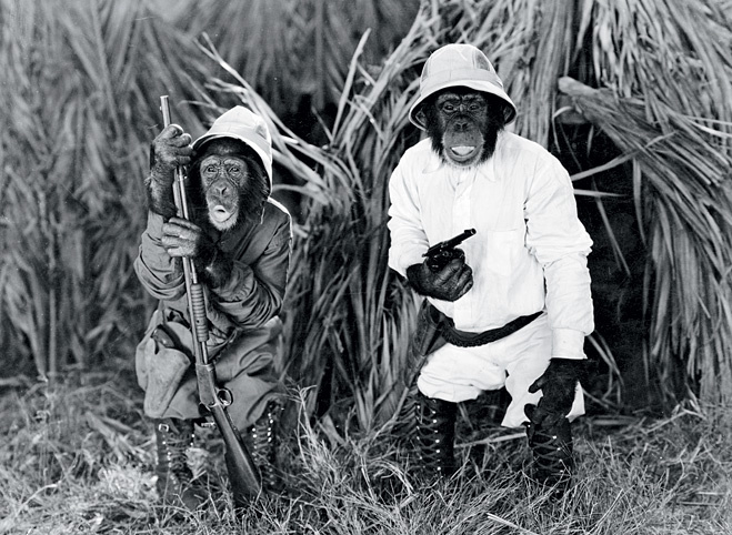 Image 12099 Image 12099