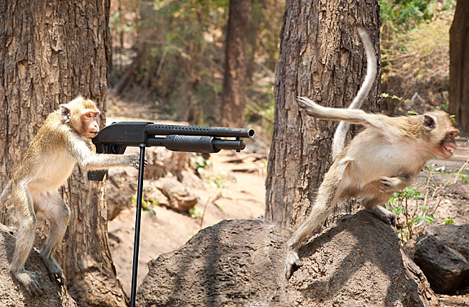 Image 12100 Image 12100