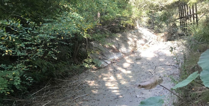 Высохшее русло реки Танасу dqxikeidqxidqeant