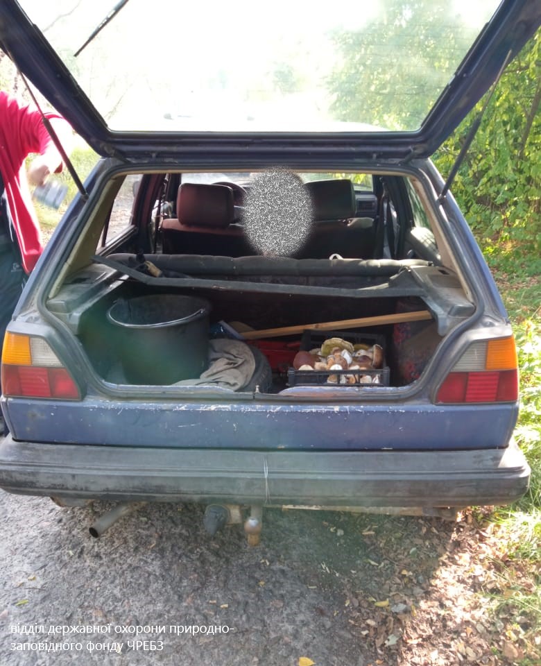 Незаконные грибники в Чернобыле. Фото: Facebook / Чернобыльский заповедник dqxikeidqxidqrant