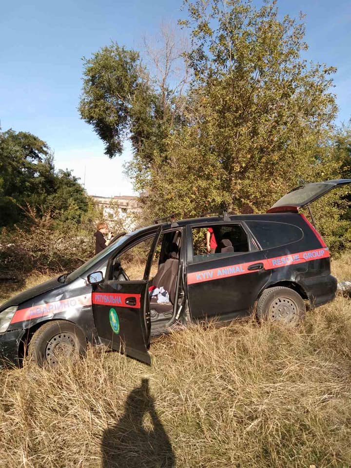 Спасение собаки из шахты. Фото: Facebook / Мария Говяда dqxikeidqxidqrant