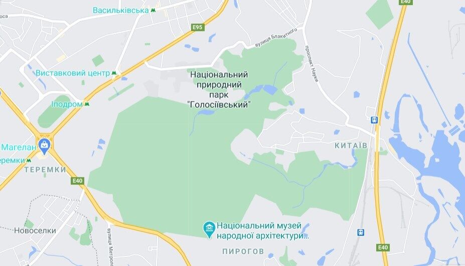 Таксист свернул в лесопарковую зону, где и набросился на жертву. dqxikeidqxidqrant