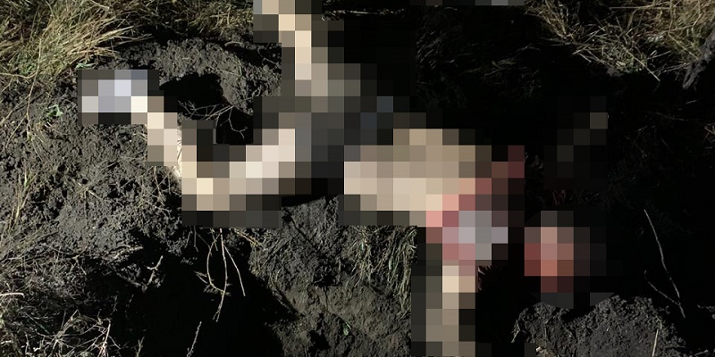 На Сумщине нацгвардейца подозревают в убийстве - 1 - изображение dqxikeidqxidqrant