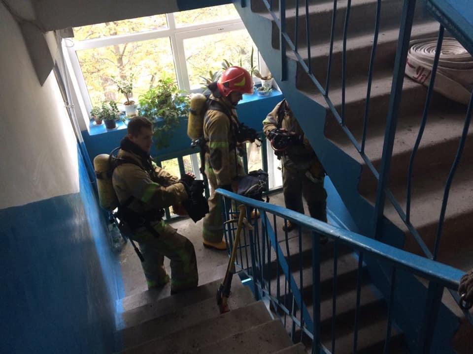 пожарные на месте тушения пожара dqxikeidqxidqeant