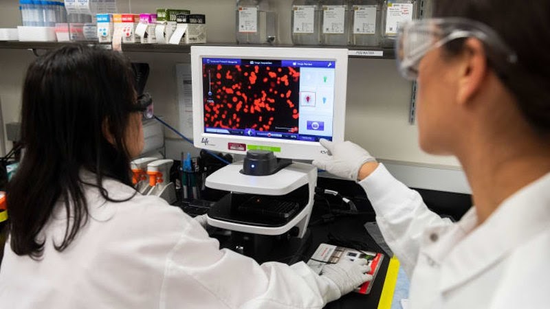 Учені Novavax працюють у лабораторії Меріленда.