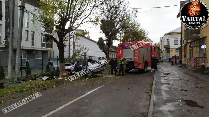 Во Львове авто врезалось в дерево