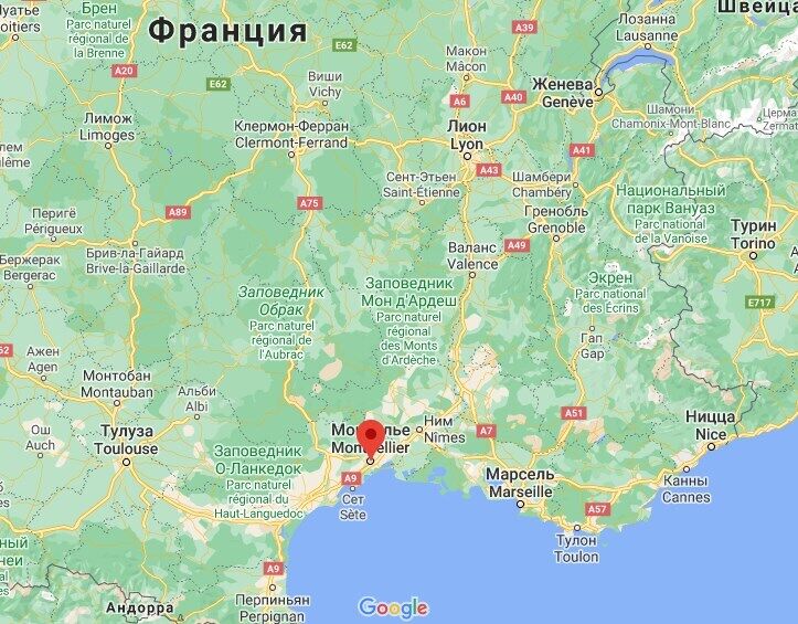 Стрельба произошла в городе Монпелье. dqxikeidqxidqrant