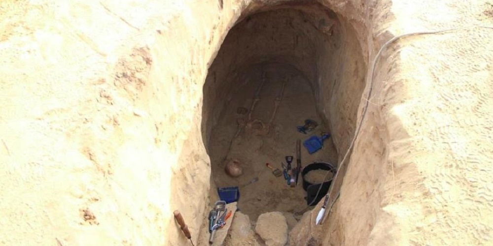       - 1 -  dqxikeidqxidqrant