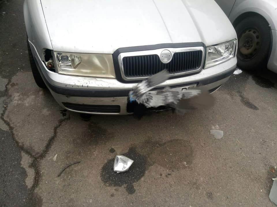 По словам свидетеля, авто было припарковано в специально отведенном для этого месте