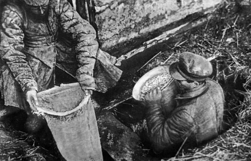 .   –    dqxikeidqxidqrant