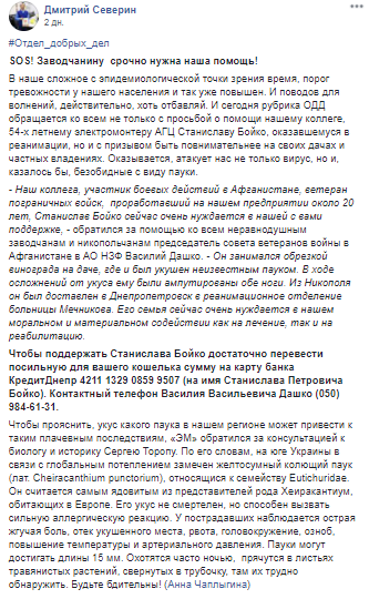 Мужчине отрезали ноги из-за укуса ядовитого паука: подробности трагедии на Днепропетровщине dqxikeidqxidqeant