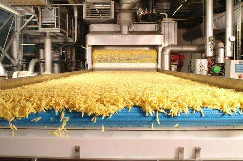 «Ковід» зупинив в ЄС заводи з виробництва картоплі-фрі