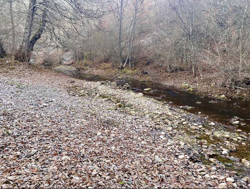 Уровень воды в Кокозке упал. dqxikeidqxiqzuant
